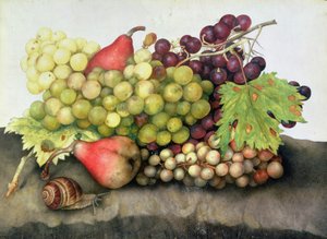 Slak met druiven en peren